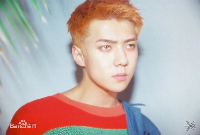 吴世勋(（韩文名）、SE HUN（官方艺名）、Oh SeHun)正规四辑官方照片壁纸壁纸