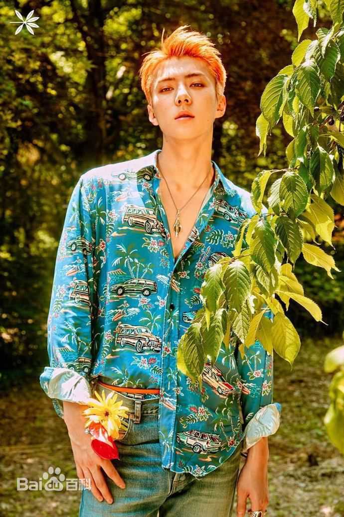 吴世勋(（韩文名）、SE HUN（官方艺名）、Oh SeHun)正规四辑官方照片壁纸壁纸