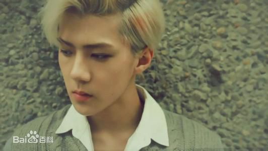 精选吴世勋(（韩文名）、SE HUN（官方艺名）、Oh SeHun)图片