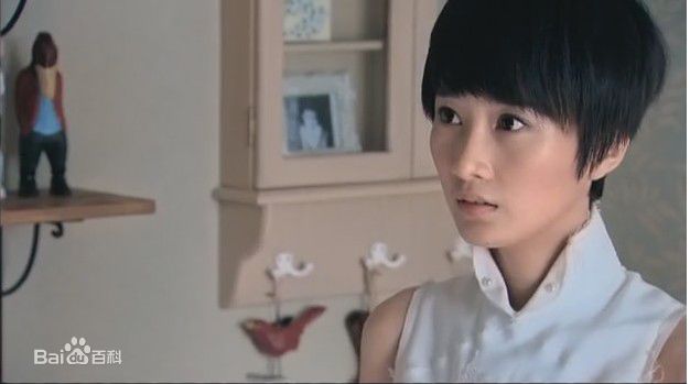 肖涵(Jenny)2009年《一起来看流星雨》最全剧照