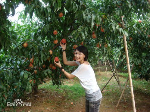 肖涵(Jenny)生活照前后照片