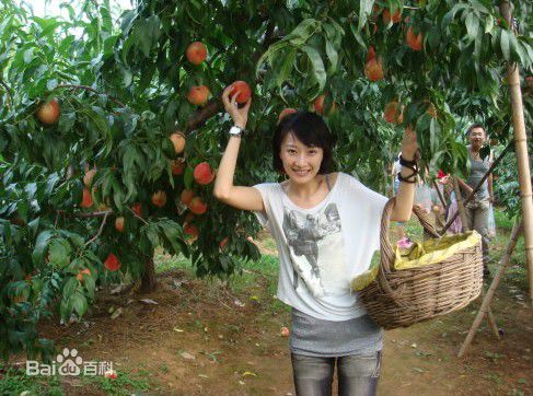 肖涵(Jenny)生活照前后照片