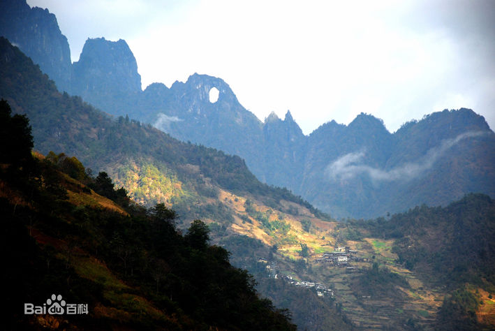 最新周莉(ZhouLi)壁纸
