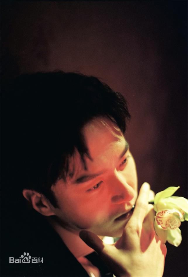 茅子俊最优质相册