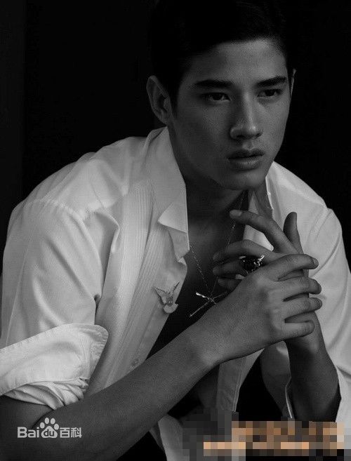 最优质马里奥·毛瑞尔(Mario Maurer、 )精彩图册