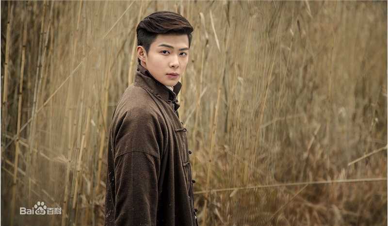 最全张铭恩在《老九门》中饰张副官张日山中的壁纸