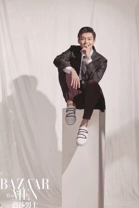 张铭恩芭莎男士图册