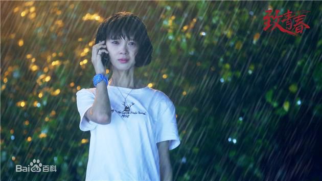 陈瑶(Sebrina)在《致青春》郑微中的