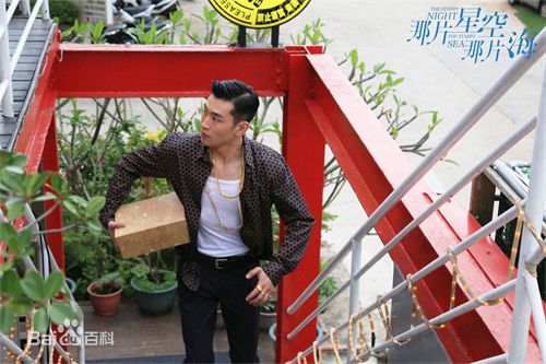 最新王彦霖在《星空海》中的图集