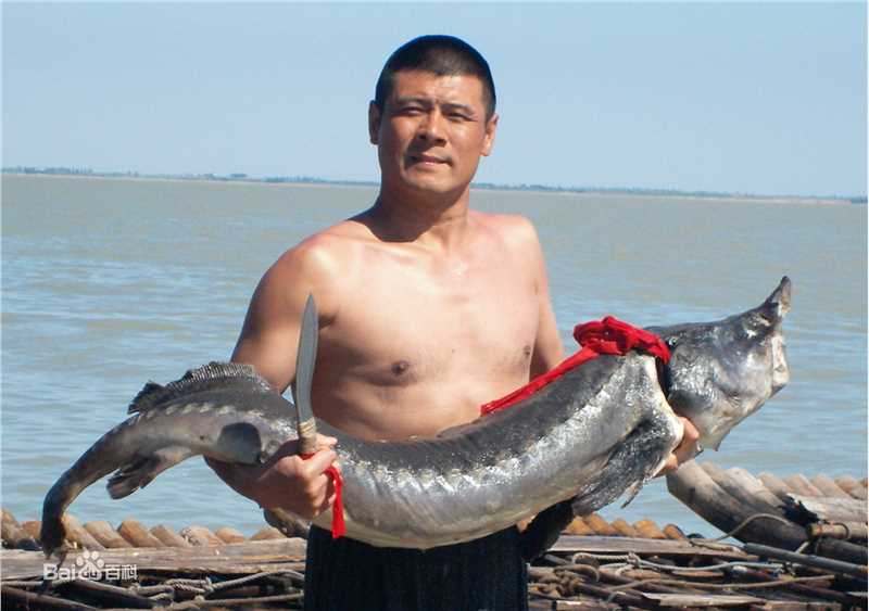 最优质孙洪涛(Hongtao.Sun)精彩图册