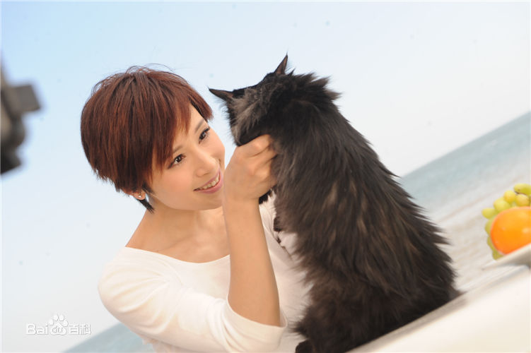 石筱群精选歌曲图册