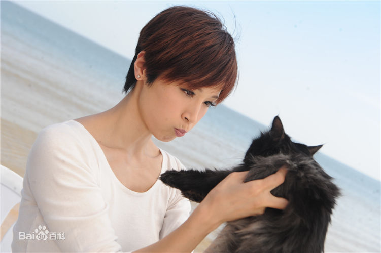 石筱群精选歌曲图册