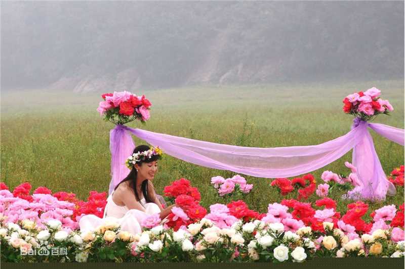 最全石筱群在《8090向前冲》饰演文静中的相册