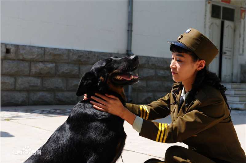 石筱群对手壁纸壁纸