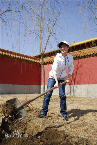 石筱群个人生活壁纸壁纸