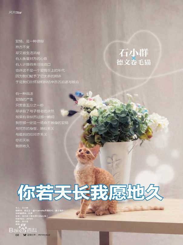 石筱群精选杂志拍摄图册