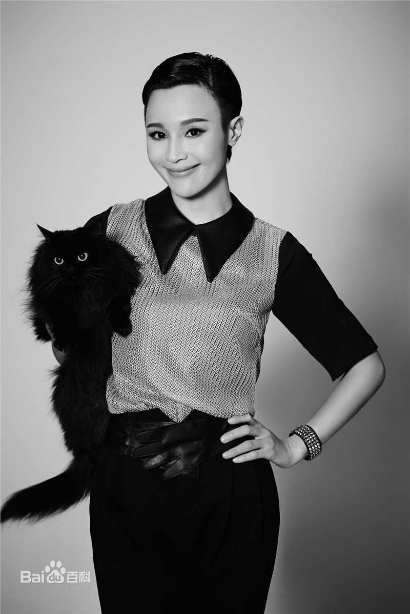 石筱群精选时尚图册