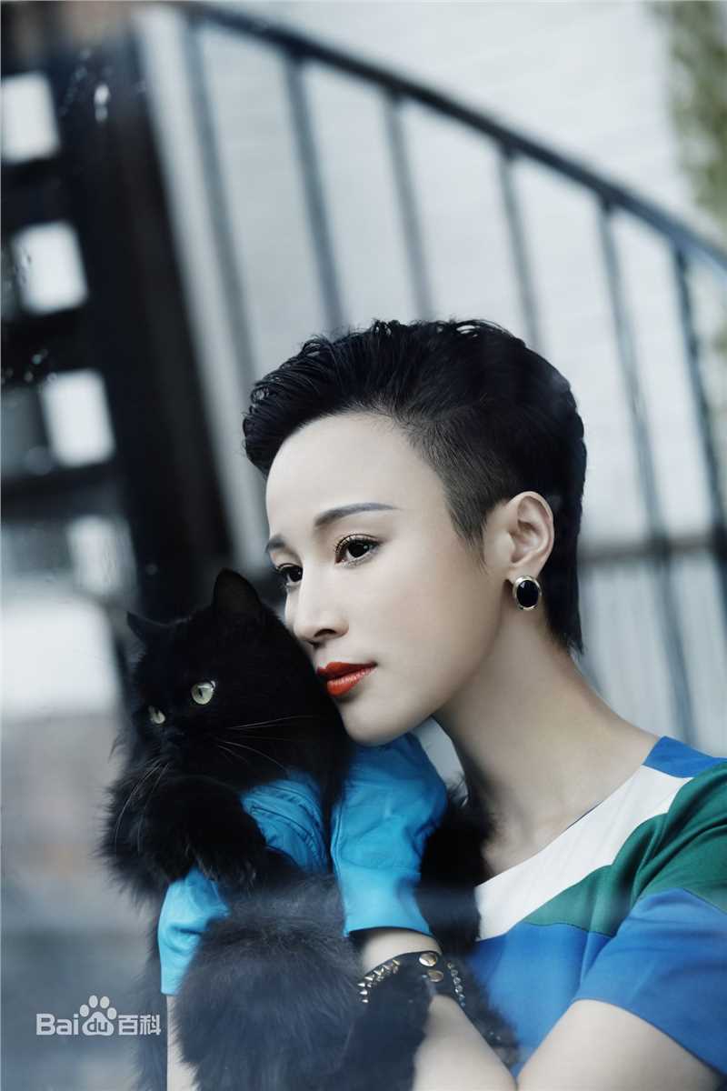 石筱群精选时尚图册