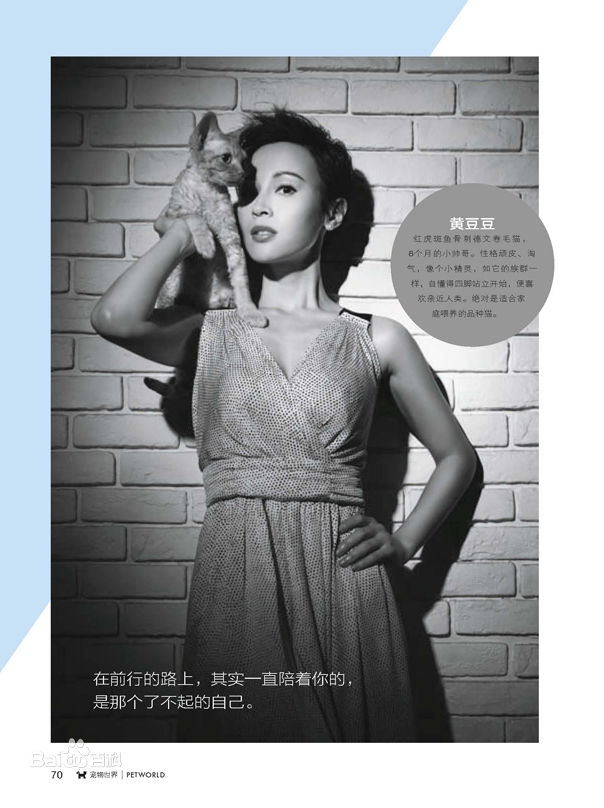 高清石筱群在《宠物世界_猫迷 》中的图集