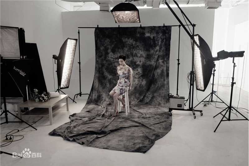 高清石筱群在《宠物世界_猫迷 》中的图集