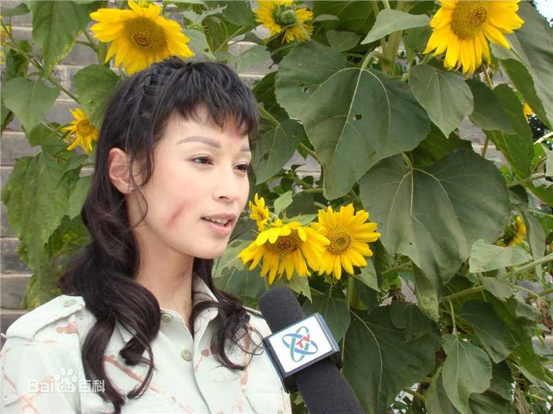 石筱群在《对手》饰林琴中的