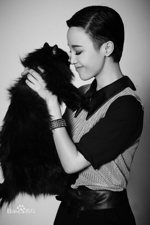 石筱群最全英伦风相册