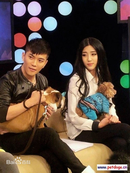 罗翔周迅综艺节目壁纸壁纸