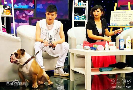 罗翔周迅综艺节目壁纸壁纸