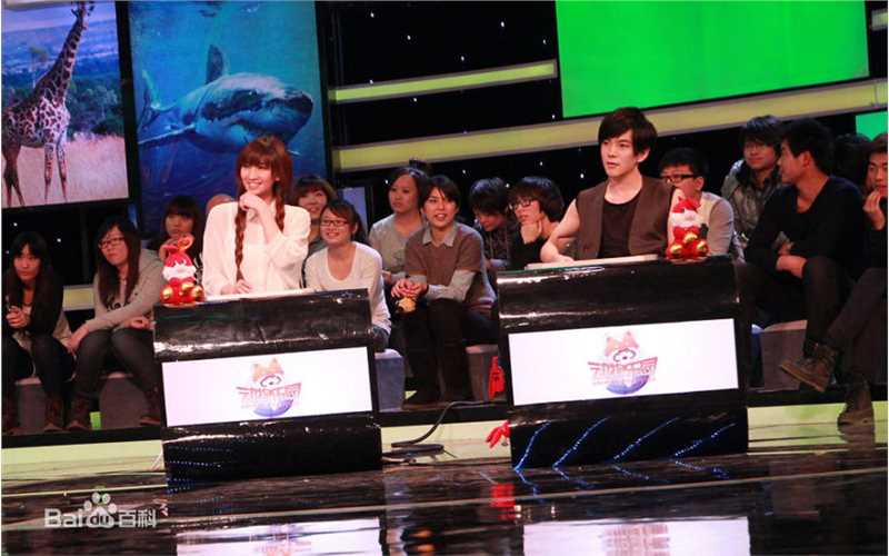 罗翔周迅综艺节目壁纸壁纸