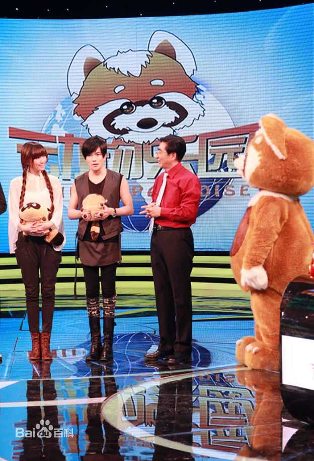 罗翔周迅综艺节目壁纸壁纸