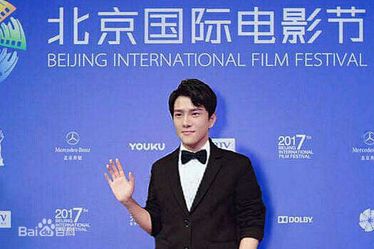 罗翔出席电影节图册