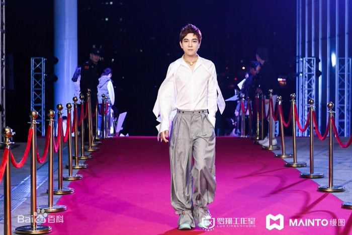 罗翔舞台照壁纸壁纸