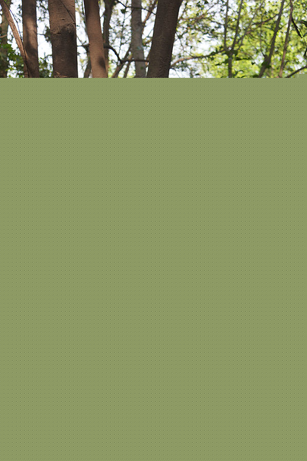 周祥林生活照片生活照