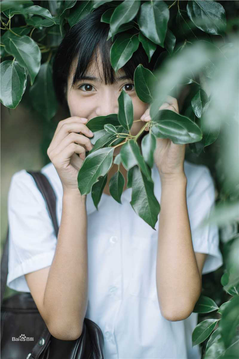 沈月精选个人图册