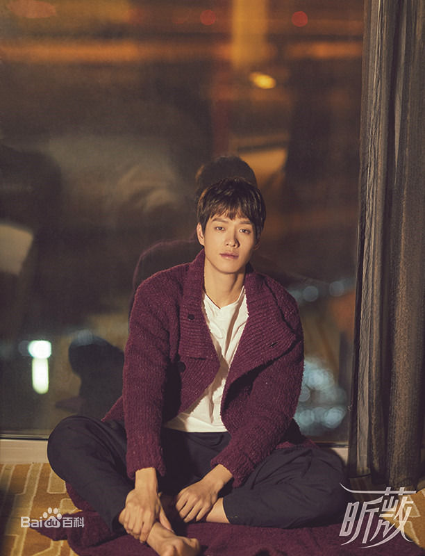 魏大勋图册图片图集