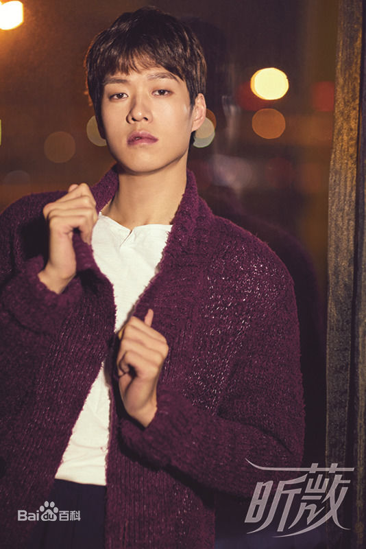 魏大勋图册图片图集