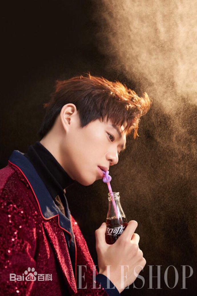 魏大勋图册图片图集