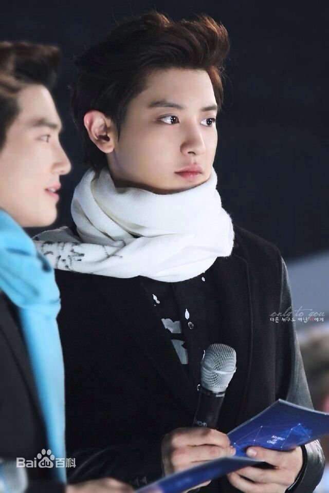 朴灿烈(（韩文名）、Park Chanyeol（官方艺名）)主持照图册