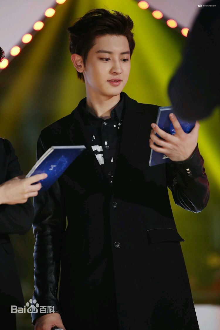 朴灿烈(（韩文名）、Park Chanyeol（官方艺名）)主持照图册