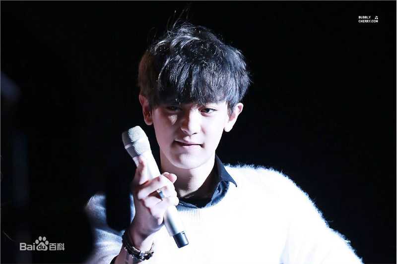 朴灿烈(（韩文名）、Park Chanyeol（官方艺名）)主持照图册