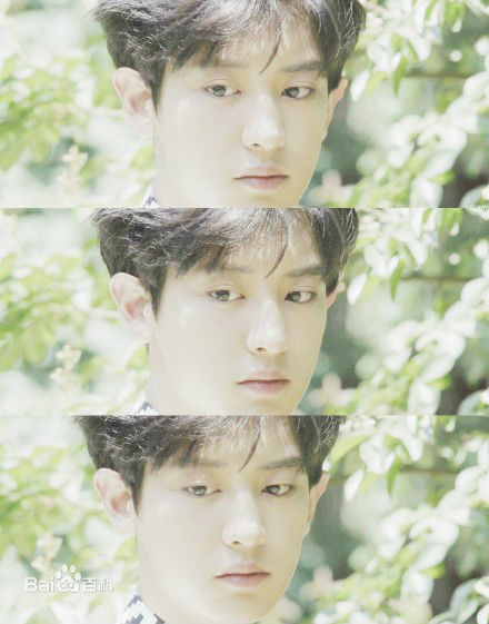 朴灿烈(（韩文名）、Park Chanyeol（官方艺名）)精选图册