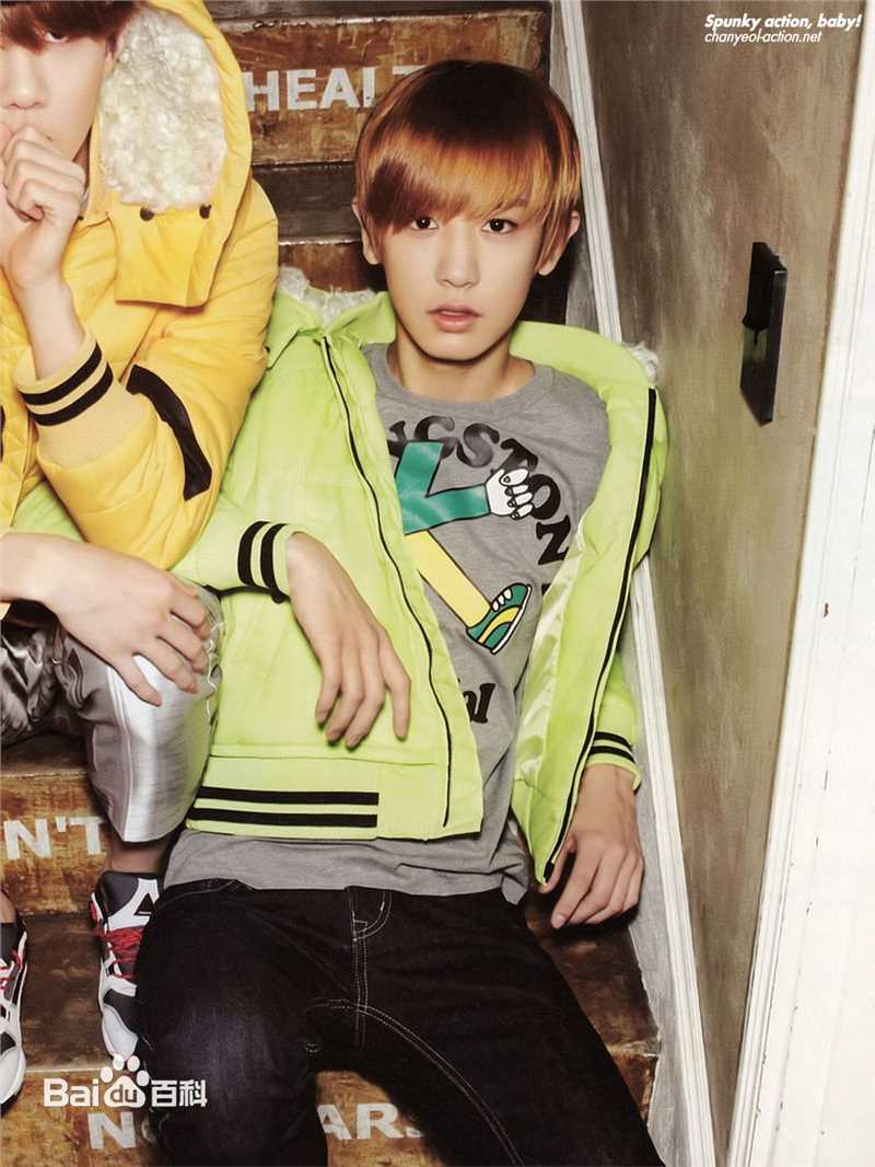 朴灿烈(（韩文名）、Park Chanyeol（官方艺名）)精选图册