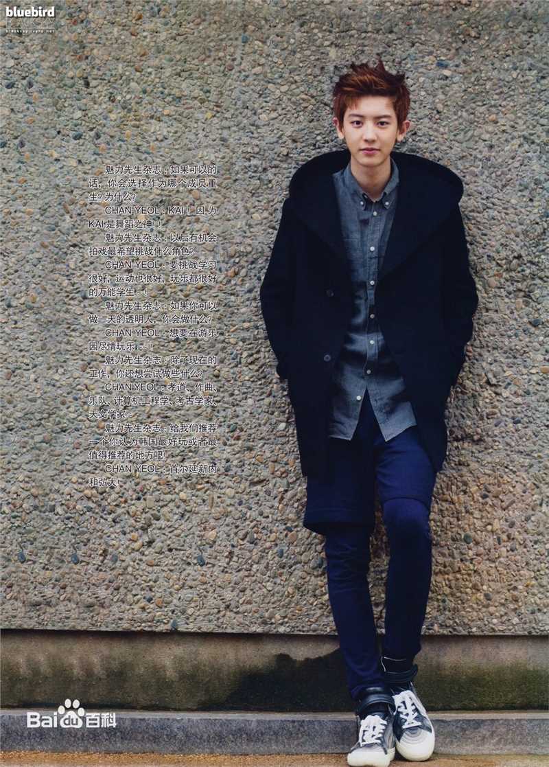 朴灿烈(（韩文名）、Park Chanyeol（官方艺名）)精选图册