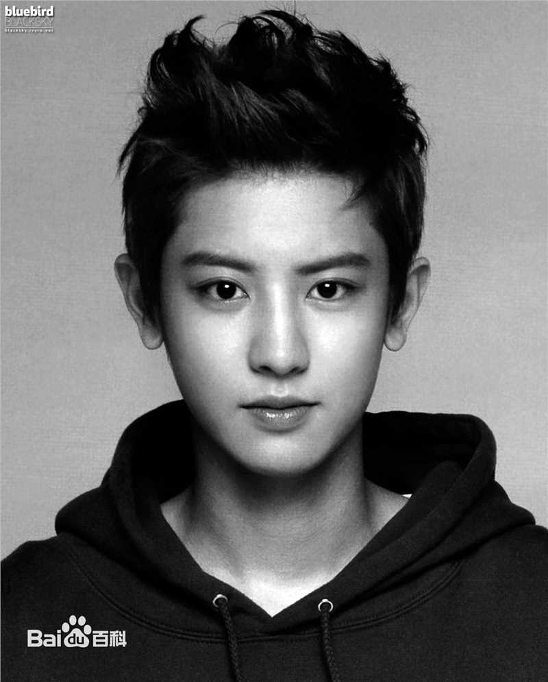 朴灿烈(（韩文名）、Park Chanyeol（官方艺名）)精选图册