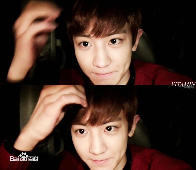 朴灿烈(（韩文名）、Park Chanyeol（官方艺名）)综艺节目性感图片图集