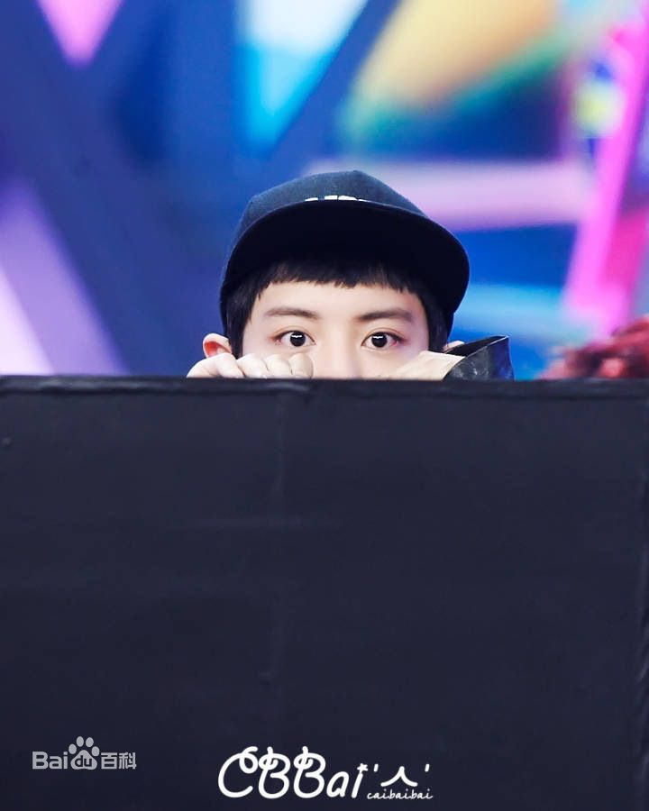 朴灿烈(（韩文名）、Park Chanyeol（官方艺名）)综艺节目性感图片图集