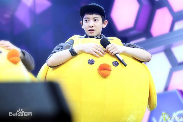 朴灿烈(（韩文名）、Park Chanyeol（官方艺名）)综艺节目性感图片图集