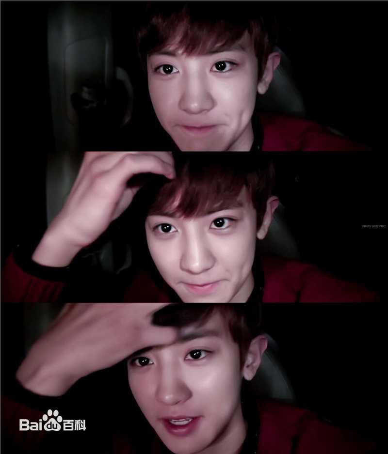 朴灿烈(（韩文名）、Park Chanyeol（官方艺名）)综艺节目性感图片图集