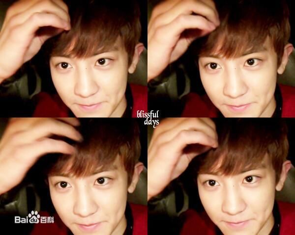 朴灿烈(（韩文名）、Park Chanyeol（官方艺名）)综艺节目性感图片图集