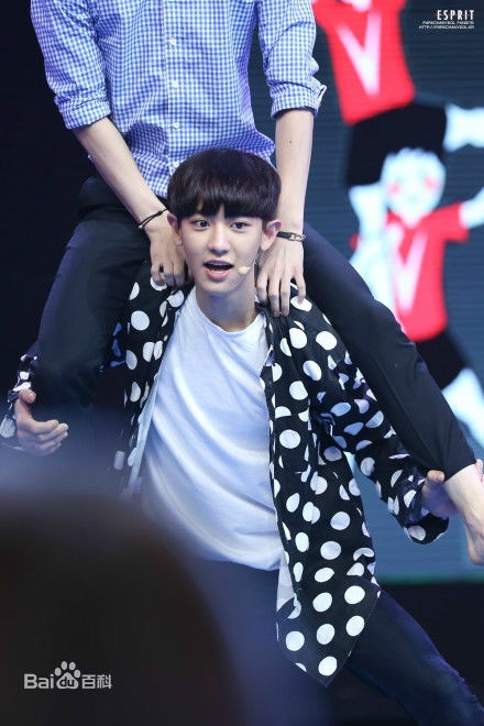 朴灿烈(（韩文名）、Park Chanyeol（官方艺名）)综艺节目性感图片图集